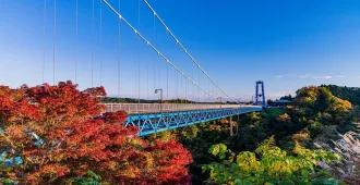 Japan Tokyo fuji Ibaraki Nikko Autumn - ทัวร์ญี่ปุ่น โตเกียว ฟูจิ  อิบารากิ นิกโกะ เที่ยวชมสะพานแขวนริวจินและน้ำตกฟุคุโรดะ