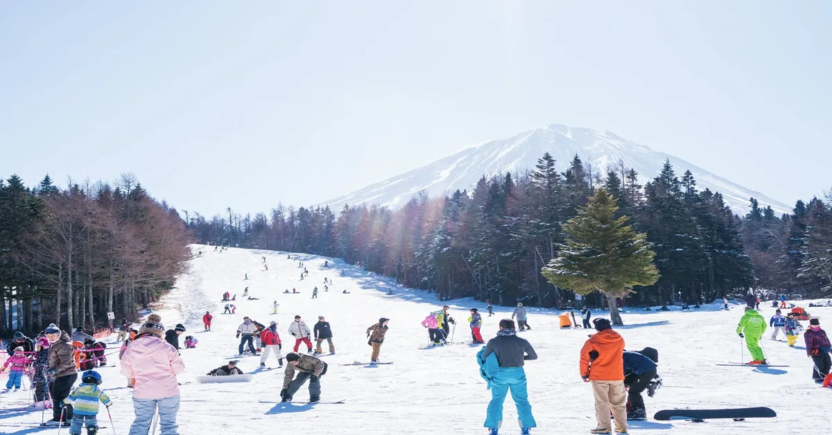 Japan Tokyo Kawagoe Fuji German Village ski - ทัวร์ญี่ปุ่น โตเกียว คาวาโกเอะ ฟูจิ  สนุกกับกิจกรรมลานสกีและงานประดับไฟ 