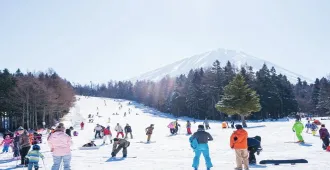 Japan Tokyo Kawagoe Fuji German Village ski - ทัวร์ญี่ปุ่น โตเกียว คาวาโกเอะ ฟูจิ  สนุกกับกิจกรรมลานสกีและงานประดับไฟ 