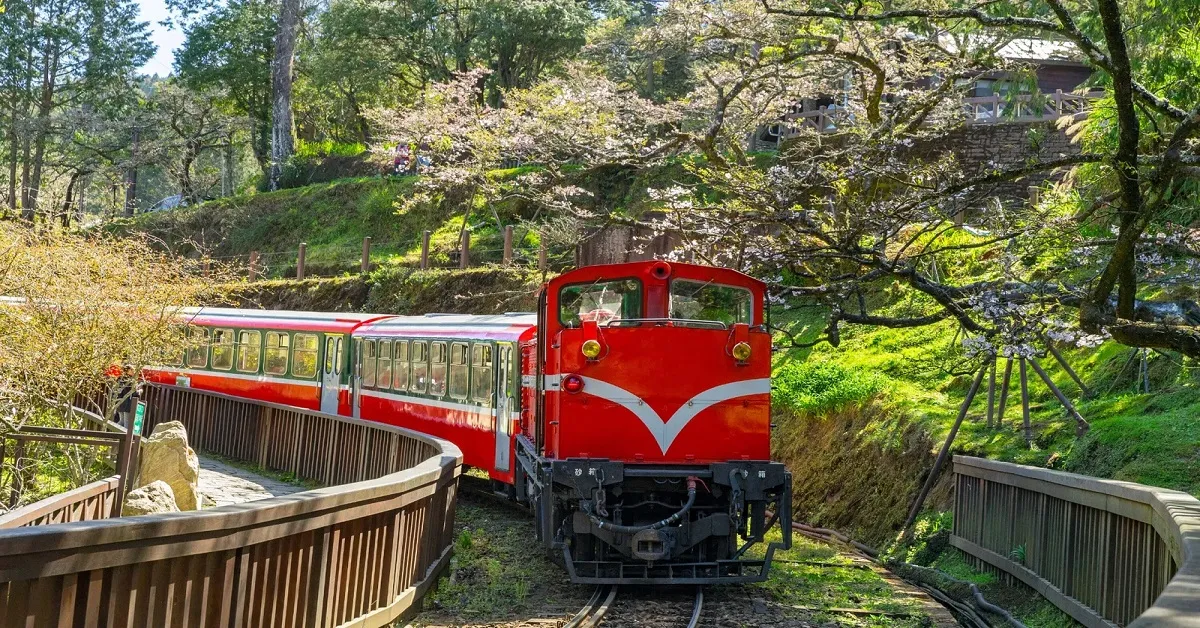 Taiwan Nantou Taipei Alishan National Forest Recreation Area - ทัวร์ไต้หวัน หนานโถว ไทเป ชมอุทยานอาหลีซาน 