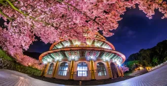 Taiwan Taipei Sakura 2026 - ทัวร์ไต้หวัน มหัศจรรย์ ไทเป ชมซากุระบาน 2026 