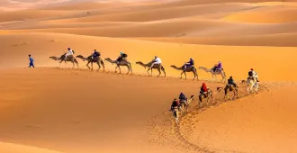  India Rajasthan Jaipur Thar Desert - ทัวร์อินเดีย รัฐราชาสถาน จัยปูร์ ทะเลทรายธาร์ 