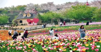 China Chengdu Jiuzhaigou Huanglong Maoxian - ทัวร์จีน เฉิงตู จิ่วจ้ายโกว หวงหลง เม่าเสี้ยน ชมสวนดอกไม้ม่านฮัวและอุทยานหวงหลง (ไม่ลงร้าน + นั่งรถไฟความเร็วสูง)