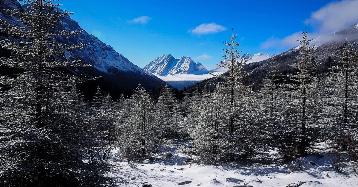 China Chengdu Dujiangyan Siguniangshan - ทัวร์จีน เฉิงตู ตูเจียงเยี่ยน ชมอุทยานสี่ดรุณีและหุบเขาซวงเฉียวโกว  (ลงร้าน + อิสระ 1 วัน)