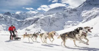 Mongolia Russia Ulaanbaatar Ulan Ude - ทัวร์มองโกเลีย รัสเซีย อูลานบาตอร์ อูลานอูเด้ นั่งสุนัขลากเลื่อนบนทะเลสาบน้ำแข็งและชมอุทยานป้าสนสก็อต