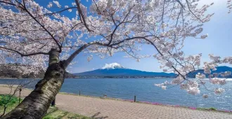 Japan Osaka Tokyo Kyoto Kawaguchiko -  ทัวร์ญี่ปุ่น โอซาก้า เกียวโต โตเกียว ชมซากุระริมทะเลสาบคาวากูจิโกะ (อิสระ 1 วัน) 