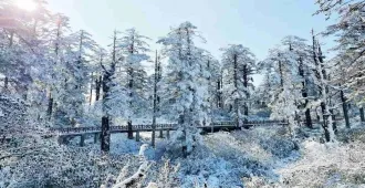 China Chengdu Meishan  Wawu Mountain - ทัวร์จีน ซุปตาร์ เฉิงตู เหมยซาน ภูเขาหิมะวาวู่ 