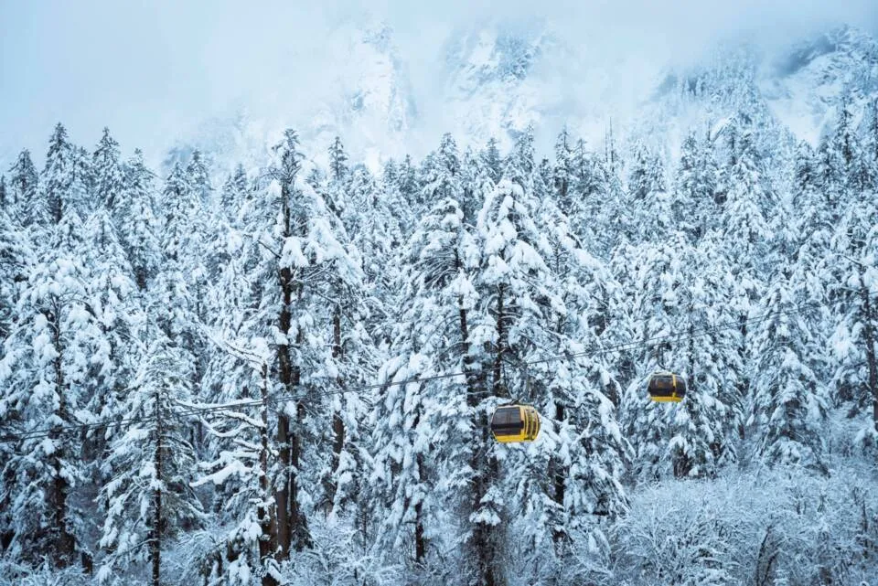 China Chengdu Chilling in the Snow - เฉิงตู สี่ดรุณี ภูเขาหิมะวาวู่ ตูเจียงเอี้ยน ง๊อไบ้ (ลงร้าน)