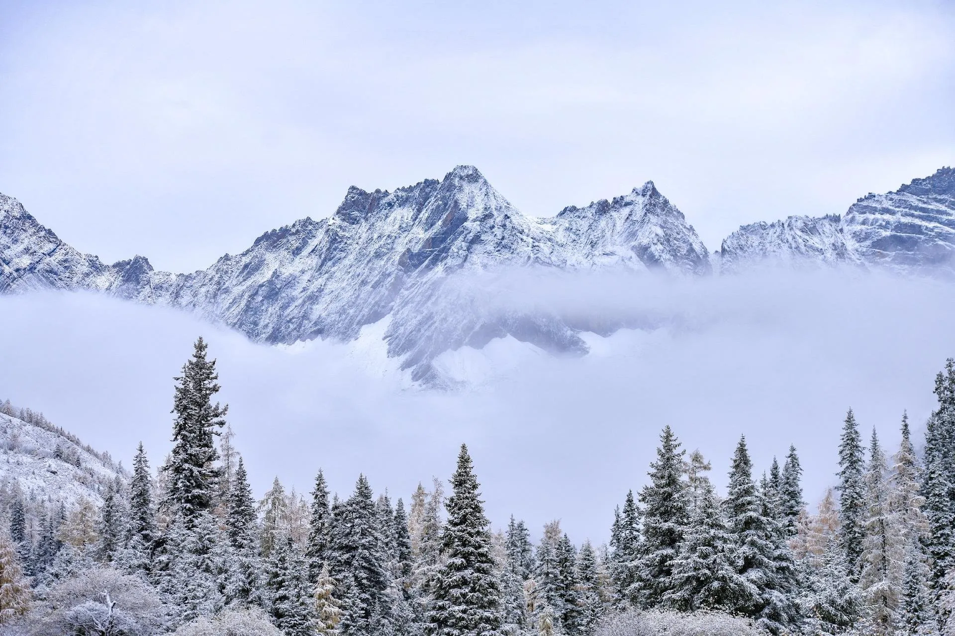 China Chengdu Shuangqiaogou Bipenggou Dujiangyan Siguniangshan - ทัวร์จีน เฉิงตู ซวงเฉียวโกว ปี้ผิงโกว ตูเจียงเอี้ยน ภูเขาสี่ดรุณี (ลงร้าน)