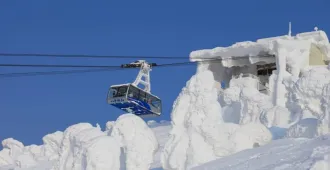 ทัวร์ญี่ปุ่น เรียล เรียล เซนได เที่ยว Tohoku นั่ง Shinkansen