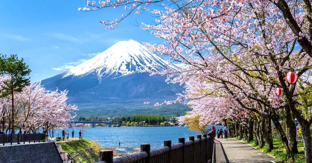 ทัวร์ญี่ปุ่น โตเกียว ฟูจิ โอไดบะ ไซตามะ ซากุระ ภูเขาไฟฟูจิ ดิสนีย์แลนด์ (อิสระ 1 วัน)