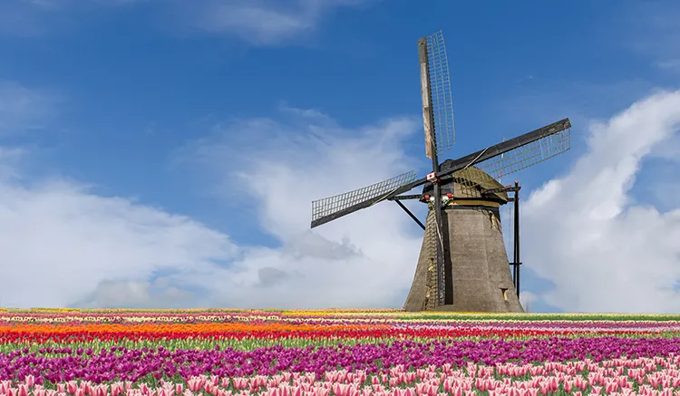 Germany Netherlands Belgium France Tullip Keukenhof Benelux - ทัวร์เยอรมัน เนเธอร์แลนด์ เบลเยียม ฝรั่งเศส ชมเทศกาลดอกทิวลิป สวนเคอเคนฮอฟ