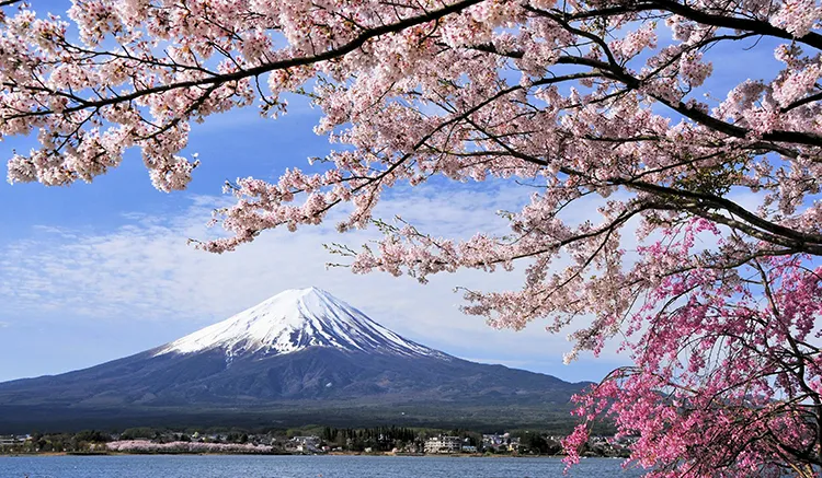 ทัวร์ญี่ปุ่น โตเกียว ฟูจิ นั่งกระเช้าขึ้นเขาทาคาโอะ ชมธรรมชาติและบรรยากาศซากุระสุดผ่อนคลาย