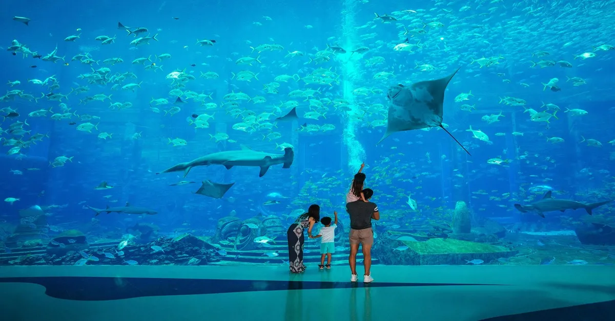 ทัวร์จีน ซานย่า อควาเรียมแอตแลนติส  ไหว้เจ้าแม่กวนอิม อาบน้ำแร่ (ลงร้าน)