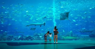 ทัวร์จีน ซานย่า อควาเรียมแอตแลนติส  ไหว้เจ้าแม่กวนอิม อาบน้ำแร่ (ลงร้าน)