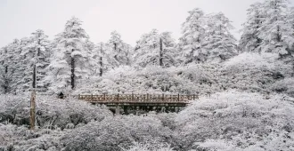 ทัวร์จีน เฉิงตู ดารุณี ปี้เผิงโกว ภูเขาวาวู่ (ไม่ลงร้าน) 