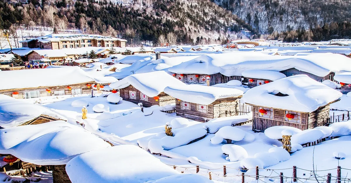 ทัวร์จีน ฮาร์บิน หมู่บ้านหิมะ นั่งม้าลากเลื่อน เทสกาลน้ำแข็ง (ไม่ลงร้าน) 