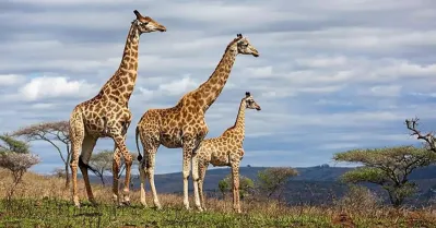 รูปภาพทัวร์