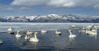 ทัวร์ญี่ปุ่น ฮอกไกโด คุชิโระ ชมทะเลสาบอะคัง แช่สนายุออนเซ็น (อิสะ 1 วัน)