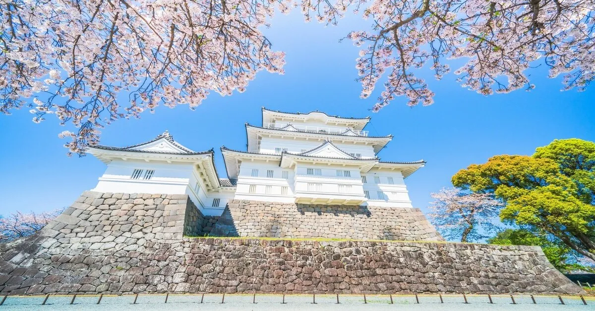 ทัวร์ญี่ปุ่น โตเกียว ฟูจิ ชมซากุระ รอบปราสาทโอดาวาระ (อิสระ 1 วัน)