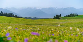 ทัวร์จีน อูรุมฉี ขุยถุน อี้หนิง นาราถี ทุ่งหญ้าคาลาจุ้น ทุ่งลาเวนเดอร์ นั่งรถไฟความเร็วสูง (ไม่ลงร้าน)