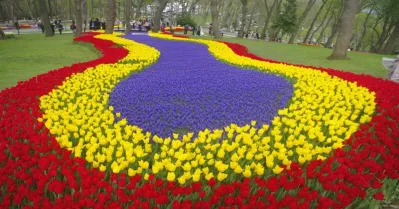 รูปภาพทัวร์