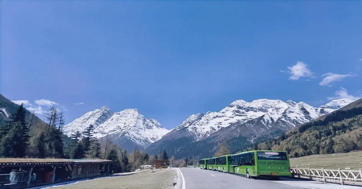 ทัวร์จีน มหัศจรรย์ เฉิงตู จิ่วจ้าวโกว ภูเขาสี่ดรุณี ซวงเฉียวโกว นั่งรถไฟความเร็วสูง (บินตรงเชียงใหม่ + ไม่ลงร้าน)