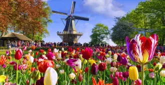Benelux Germany Netherlands Belgium Luxembourg - ทัวร์เบเนลักซ์ มหัศจรรย์ เยอรมัน เนเธอร์แลนด์ เบลเยียม ลักเซมเบิร์ก สวนดอกไม้เคอเคนฮอฟ