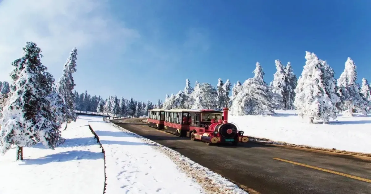 ทัวร์จีน มหัศจรรย์ เฉิงตู ฉงชิ่ง ต้าจู๋ อู่หลง เล่อซาน (บินตรงเชียงใหม่+ไม่ลงร้าน)