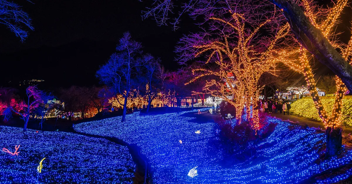 ทัวร์ญี่ปุ่น โตเกียว ภูเขาไฟฟูจิ งานประดับไฟฤดูหนาว ลานสกีฟูจิเท็น (อิสระ 1 วัน)