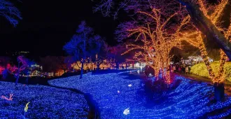 ทัวร์ญี่ปุ่น โตเกียว ภูเขาไฟฟูจิ งานประดับไฟฤดูหนาว ลานสกีฟูจิเท็น (อิสระ 1 วัน)