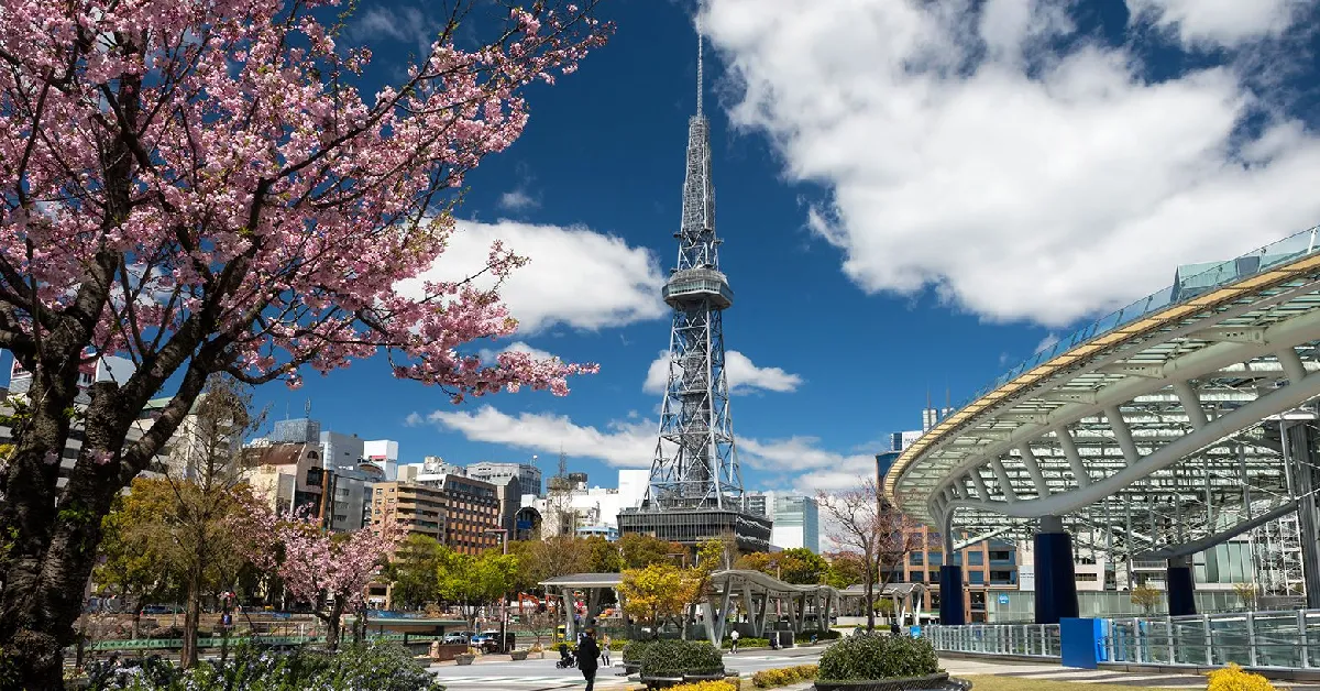 ทัวร์ญี่ปุ่น นาโกย่า มิเอะ ทาคายาม่า ซากาเอะ ชิราคาวาโกะ 