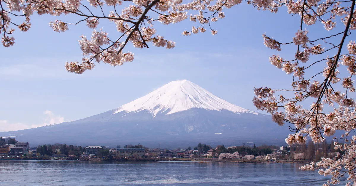 ทัวร์ญี่ปุ่น โตเกียว ฟูจิ คาวาซุซากุระ ชมซากุระบานสะพรั่ง(อิสระ 1 วัน)