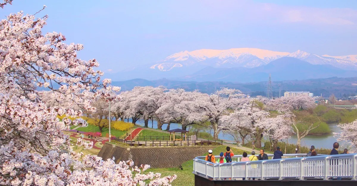 ทัวร์ญี่ปุ่น โตเกียว นิกโก้ เซนได ฟุกุชิมะ ชมซากุระสวนฟุนาโอกะโจชิ ไหว้พระใหญ่อุชิคุ (อิสระ 1 วัน)