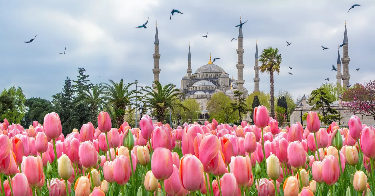 Turkiye Istanbul Cappadocia Pamukkale Tulip Festival Sazova Park - ทัวร์ตุรกี อิสตันบูล คัปปาโดเกีย ปามุคคาเล่ เทศกาลดอกทิวลิป สวนเทพนิยายซาโซวาร์