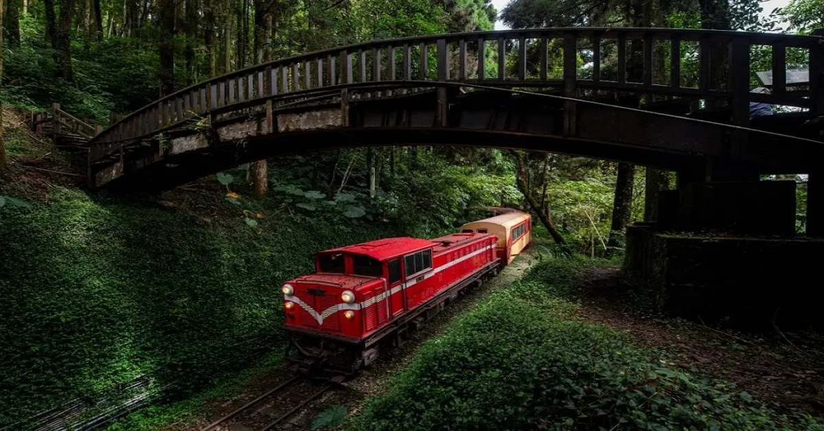 ทัวร์ไต้หวัน อาลีซาน ลักชู นั่งรถไฟโบราณ ชมป่าสนพันปี (ลงร้าน)