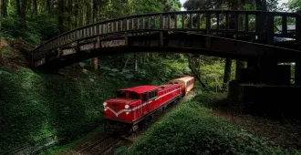 ทัวร์ไต้หวัน อาลีซาน ลักชู นั่งรถไฟโบราณ ชมป่าสนพันปี (ลงร้าน)