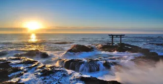 ทัวร์ญี่ปุ่น โตเกียว อิบารากิ ไหว้พระใหญ่อุชิคุ ศาลเจ้าโออาไร (อิสระ 1 วัน)