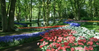 Benelux Germany Belgium Netherlands - ทัวร์เบเนลักซ์ มหัศจรรย์ เยอรมัน เบลเยียม เนเธอร์แลนด์ ชมมหาวิหารโคโลญ สวนเคอเคนฮอฟ ล่องเรือหมู่บ้านกีธูร์น