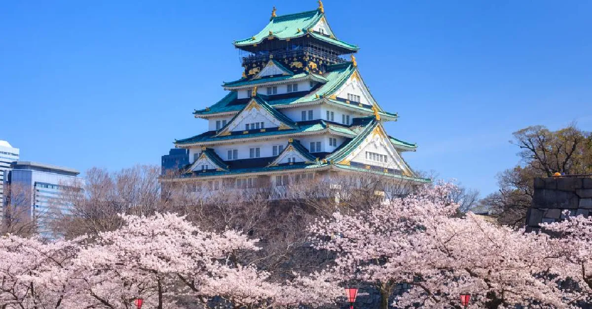 ทัวร์ญี่ปุ่น โอซาก้า นารา เกียวโต ชมซากุระบานสะพรั่ง ปราสาทโอซาก้า (อิสระ 1 วัน)