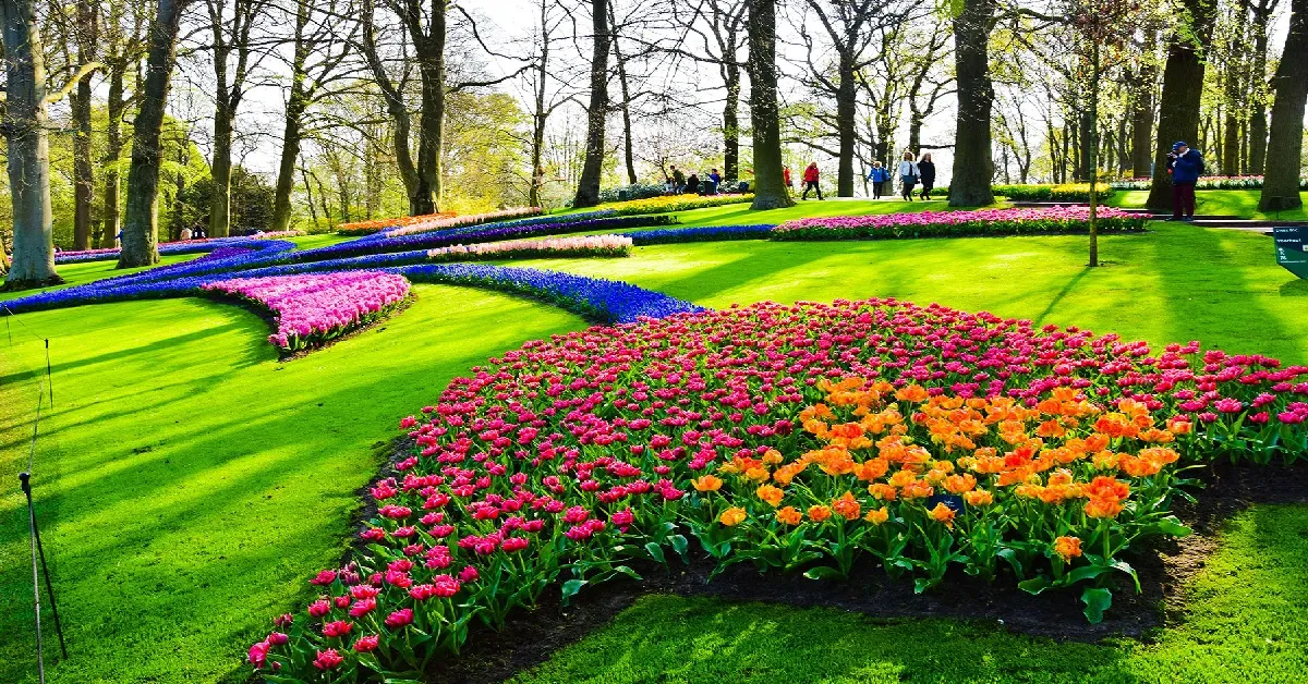 Benelux Netherlands Belgium France Keukenhof Giethoorn Paris - ทัวร์เบเนลักซ์ เนเธอร์แลนด์ เบลเยียม ฝรั่งเศส กีธูร์น ปารีส ชมสวนทิวลิปเคอเคนฮอฟ 