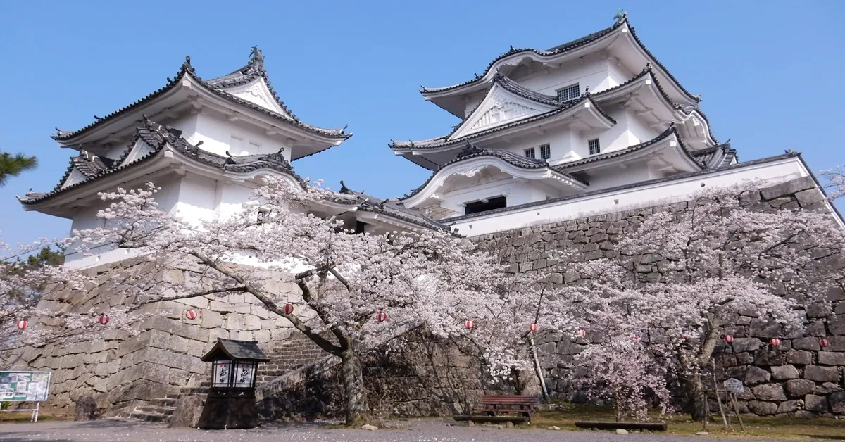 ทัวร์ญี่ปุ่น ซุปตาร์ โอซาก้า เกียวโต อิเสะ เอ็กซ์โปซิตี้ ปราสาทอิงะ อุเอโนะ