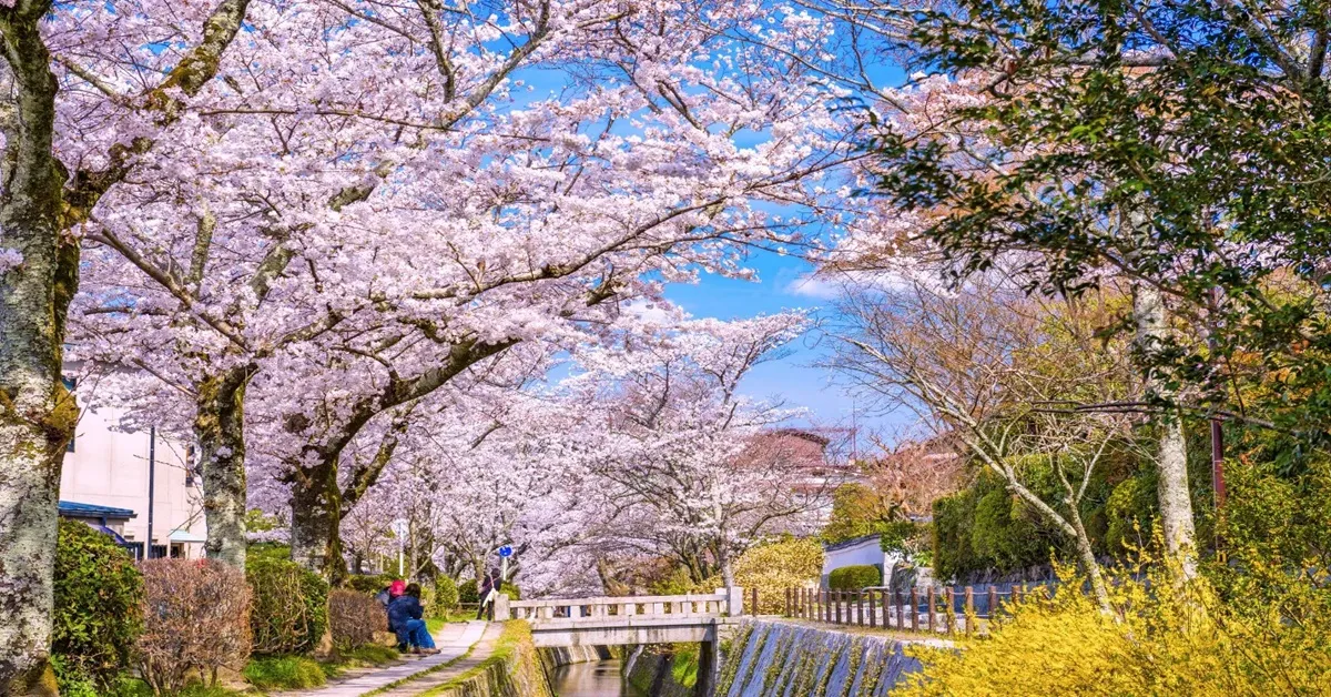 ทัวร์ญี่ปุ่น ซุปตาร์ โอซาก้า เกียวโต ชิราคาวาโกะ ทาคายาม่า ชมซากุระ (อิสระ 1 วัน)