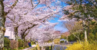 ทัวร์ญี่ปุ่น ซุปตาร์ โอซาก้า เกียวโต ทาคายาม่า ชิราคาวาโกะ  ชมซากุระถนนสายนักปราชญ์ (อิสระ 1 วัน)