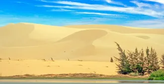 ทัวร์เวียดนามใต้ โฮจิมินห์ มุยเน่ ดาลัด ทะเลทรายขาว น้ำตกดาตันลา ชมทุ่งดอกไฮเดรนเยีย (ไม่ลงร้าน)