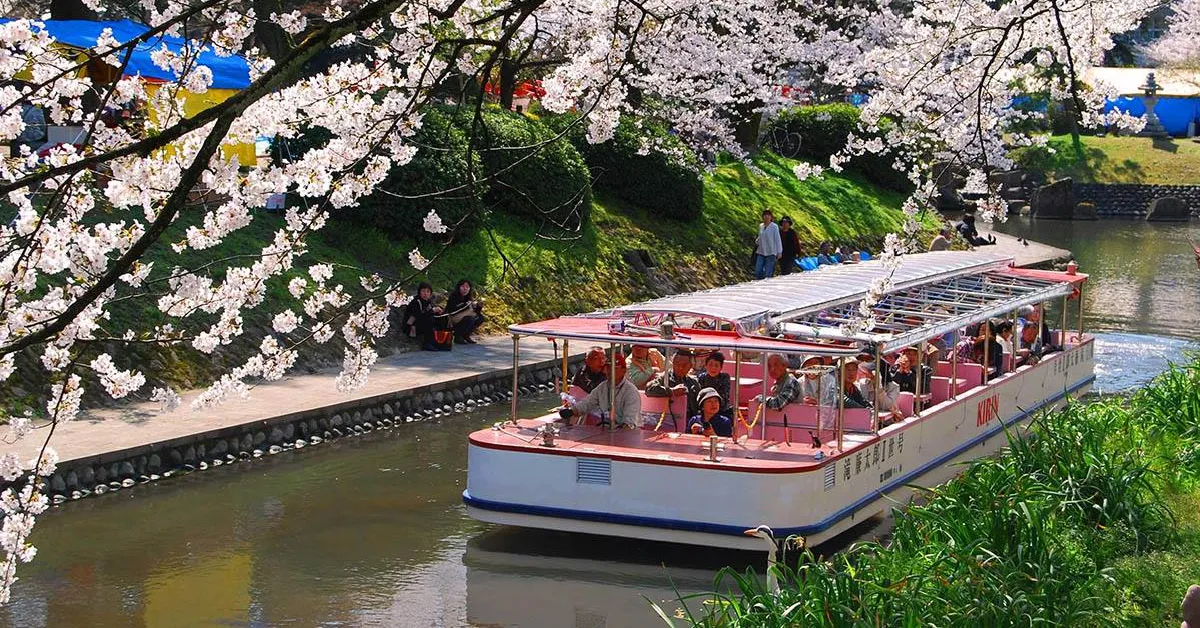 ทัวร์ญี่ปุ่น โอซาก้า เกียวโต โทยามะ ฟุกุอิ  ล่องเรือชมซากุระแม่น้ำมัตสึ 
