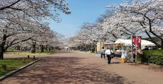 ทัวร์ญี่ปุ่น โอซาก้า นาโกย่า ทาคายาม่า เกียวโต ซากุระ สวนอนุสรณ์บัมปาคุ หมู่บ้านชิราคาวาโกะ (เที่ยวอิสระ 1 วัน)