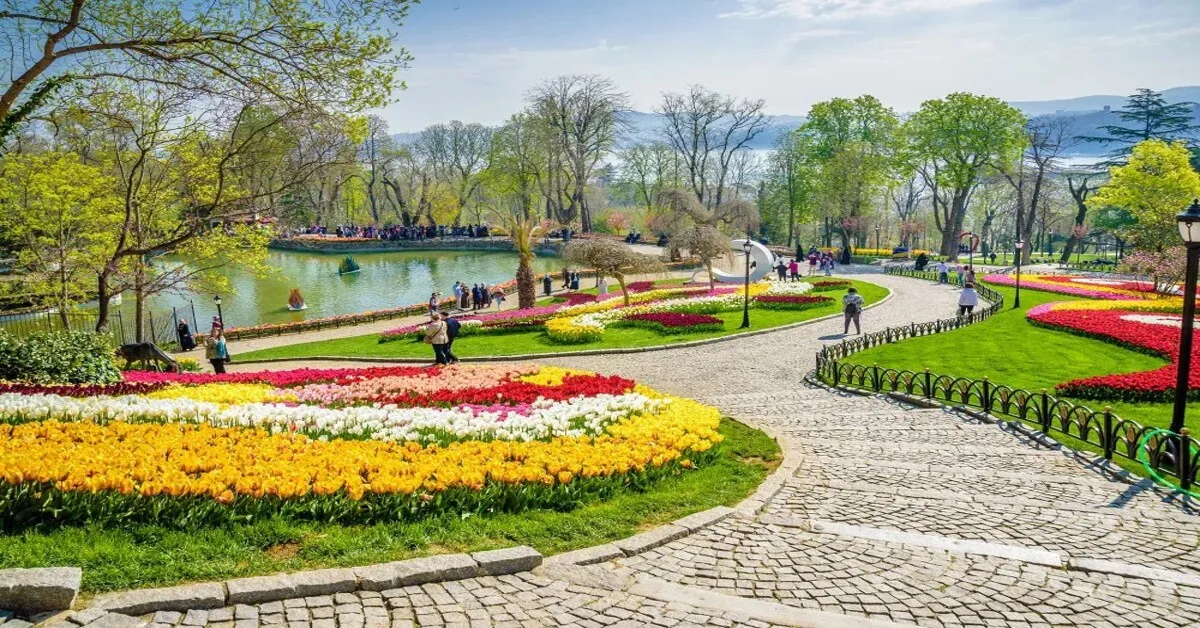 ทัวร์ตุรกี อิสตันบูล ปามุคคาเล่ ชมม้าไม้จำลอง สุเหร่าเซ็นต์โซเฟีย ชมทิวลิปบานสะพรั่งปีละครั้ง (ลงร้าน)