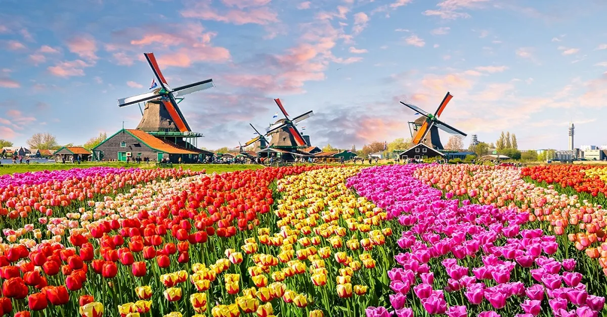 Benelux France Belgium Netherlands Luxembourg Switzerland Keukenhof Garden - ทัวร์เบเนลักซ์ ฝรั่งเศส เบลเยี่ยม เนเธอร์แลนด์ ลักเซมเบิร์ก สวิตเซอร์แลนด์ สวนดอกไม้เคอเคนฮอฟ หมู่บ้านกังหันลมซานสคันส์