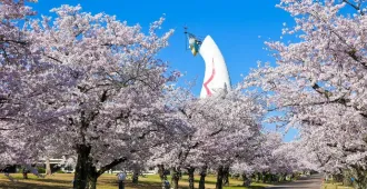 ทัวร์ญี่ปุ่น โอซาก้า เกียวโต นาโกย่า ทาคายาม่า ซากุระ ชิราคาวาโกะ ชมซากุระสวนอนุสรณ์บัมปาคุ